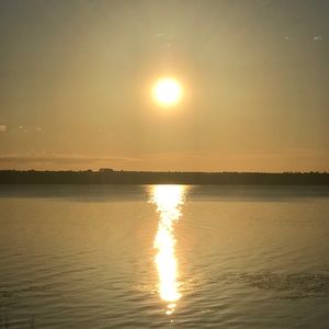 Meet your Posher, Carole